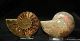 Inch Polished Pair From Madagascar #1067-1
